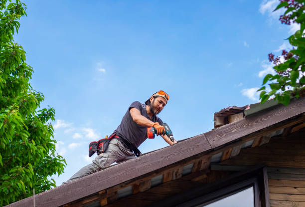 Best Gutter Installation and Repair  in Nanticoke, PA